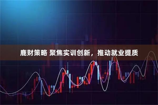 鹿财策略 聚焦实训创新，推动就业提质