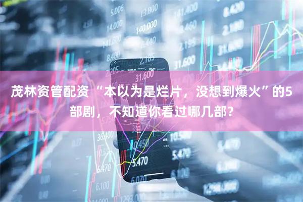 茂林资管配资 “本以为是烂片，没想到爆火”的5部剧，不知道你看过哪几部？