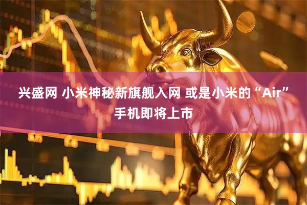 兴盛网 小米神秘新旗舰入网 或是小米的“Air”手机即将上市