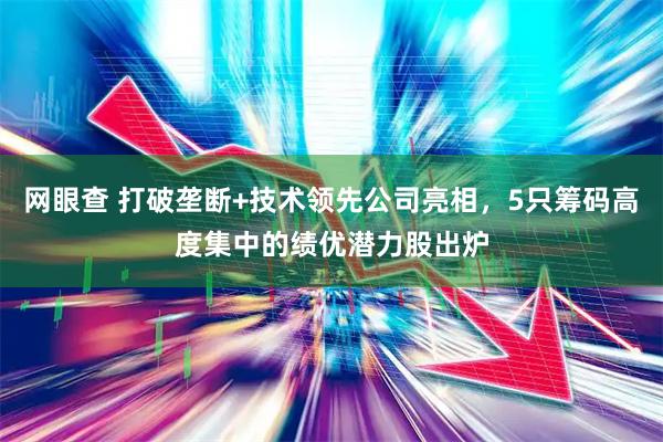 网眼查 打破垄断+技术领先公司亮相，5只筹码高度集中的绩优潜力股出炉