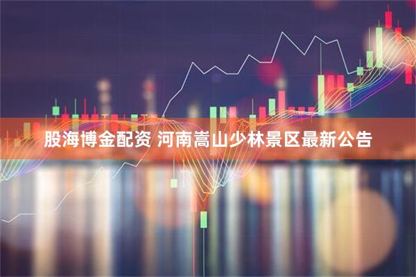 股海博金配资 河南嵩山少林景区最新公告