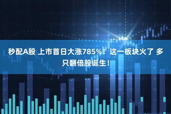 秒配A股 上市首日大涨785%！这一板块火了 多只翻倍股诞生！